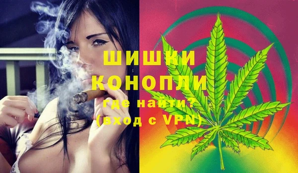 соль ск Алексин